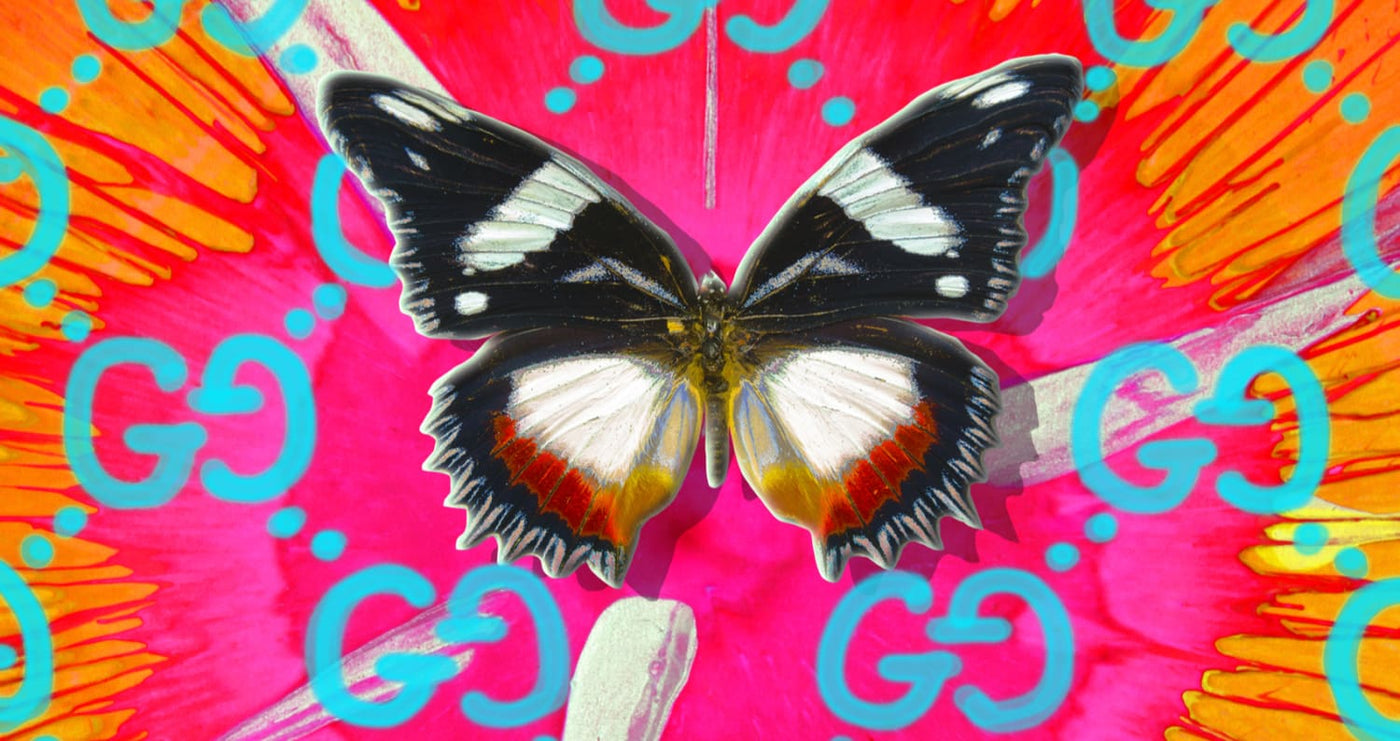 Butterfly With LV With Spray Paint - David Stesner's Portfolio