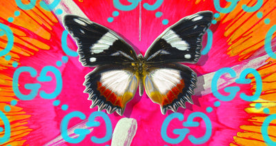 ArtSugar Welcomes David Stesner & The Butterfly Project