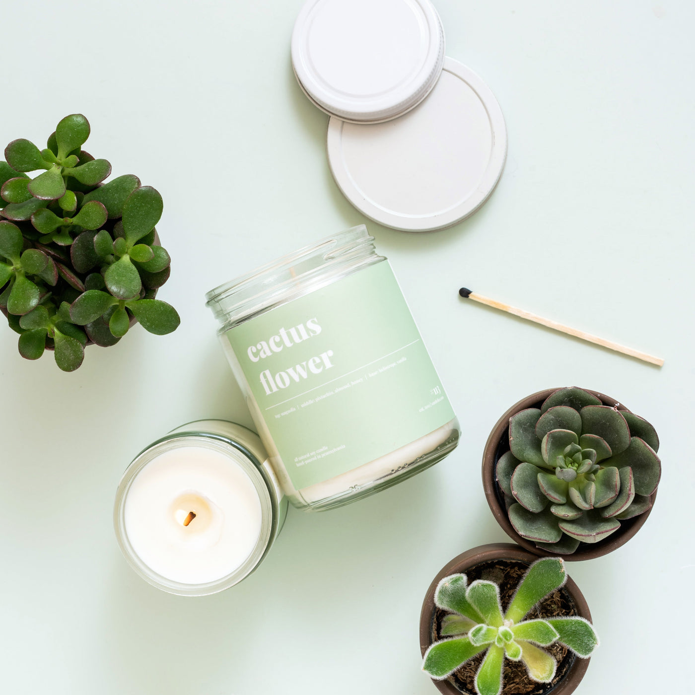Cactus Flower Soy Candle - Standard