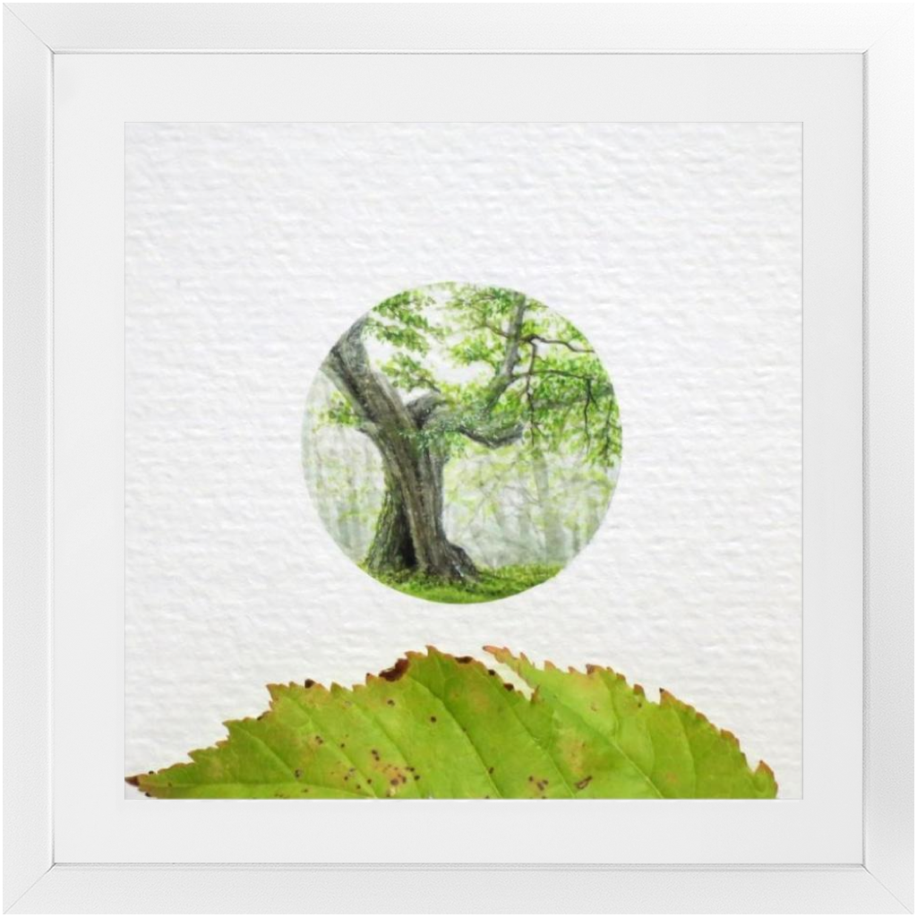 Tree Framed Print