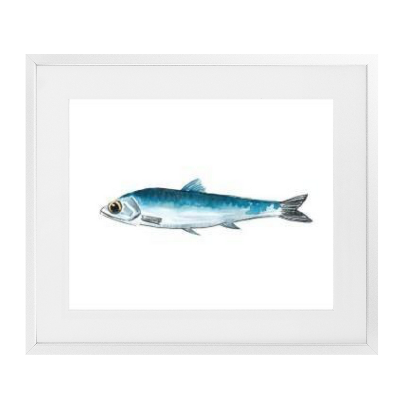 Anchovy Framed Print