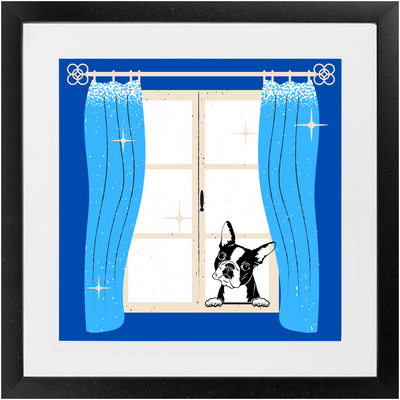 Frenchie - Dogs in Windows - Framed Print