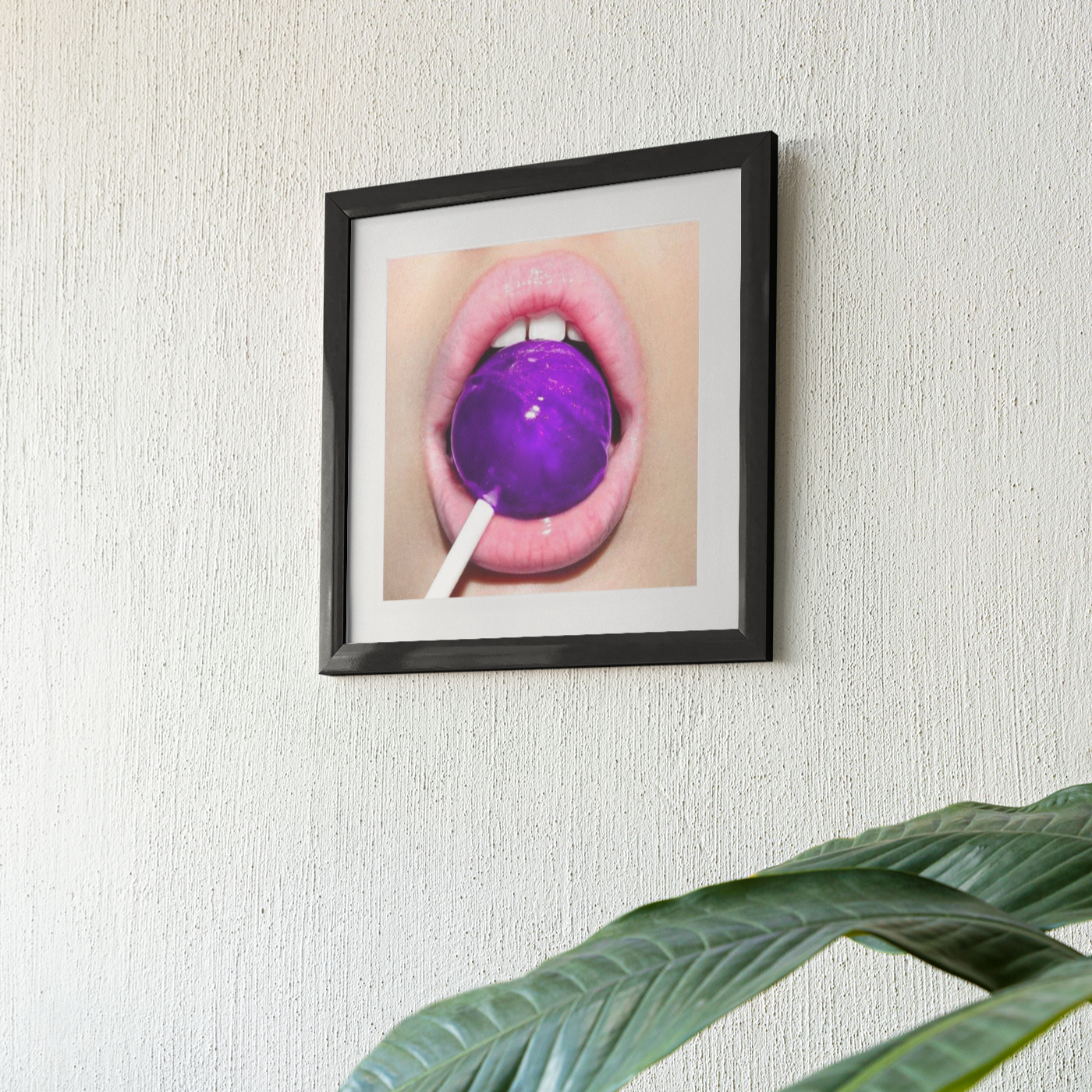Sugar Delight (Purple) Framed Print
