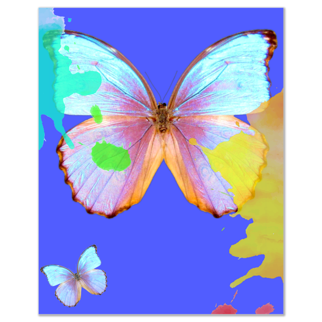 Butterfly Posters