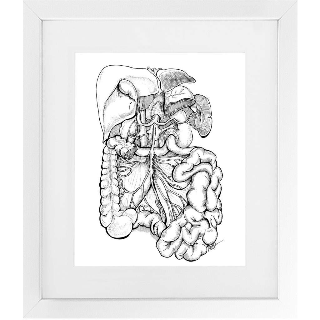 GI Gastrointestinal Anatomy Framed Print