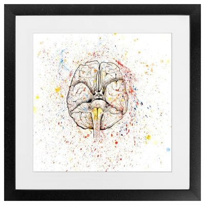 Anatomical Brain Splatter Framed Print