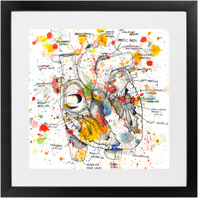 Anatomical Heart Splatter Framed Print - ArtSugar