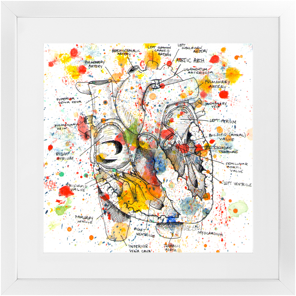 Anatomical Heart Splatter Framed Print - ArtSugar
