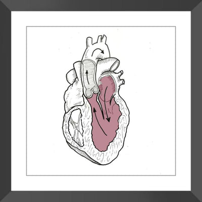 Cardiac Physiology Framed Print - ArtSugar