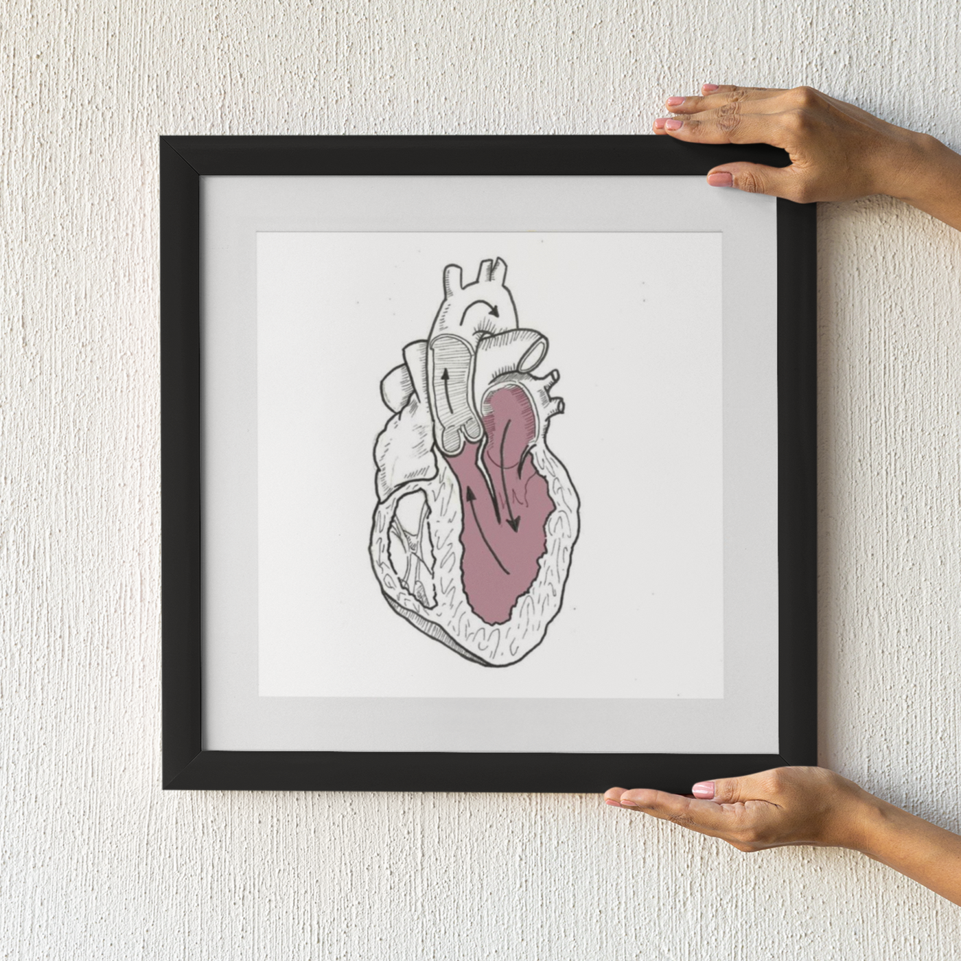 Cardiac Physiology Framed Print