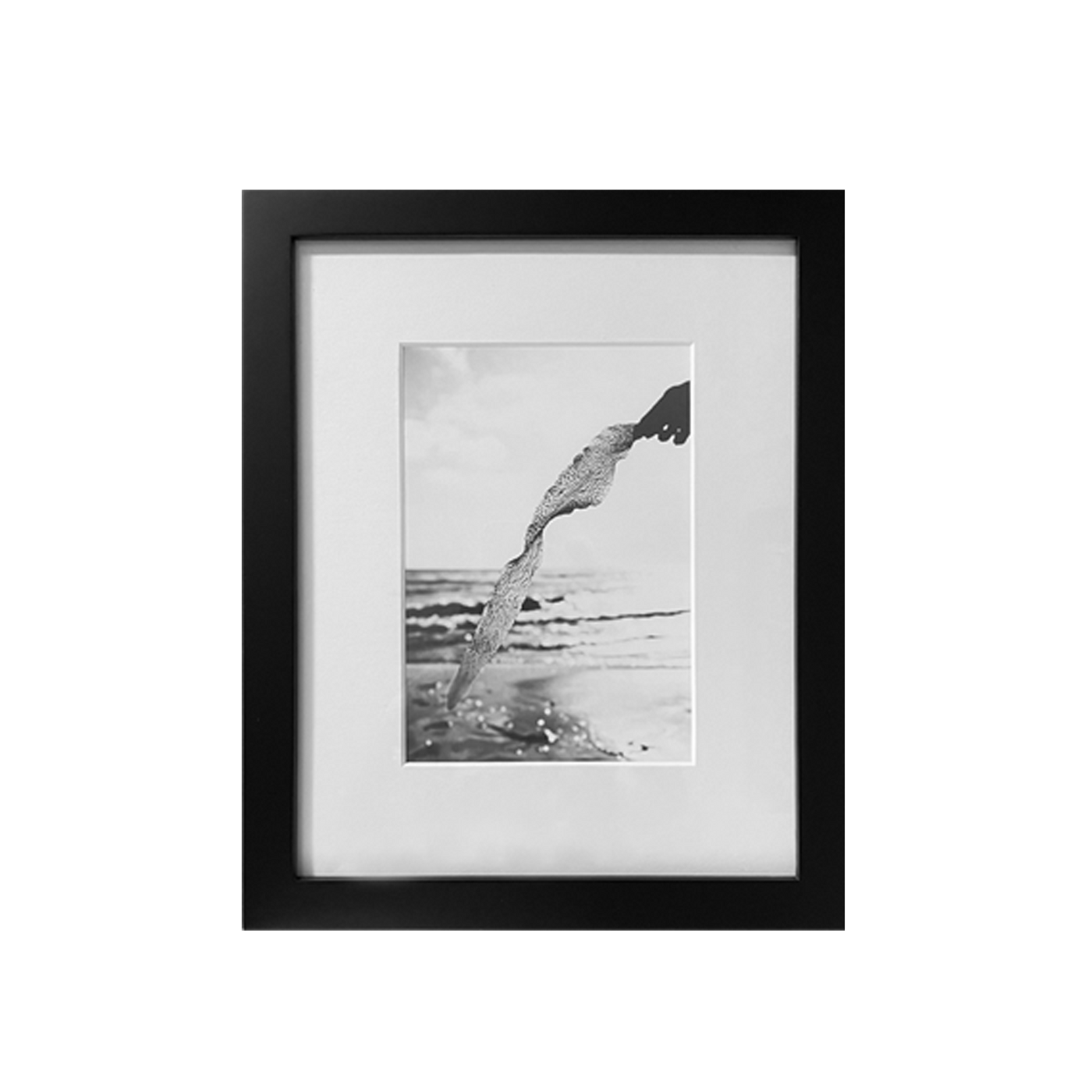 Seaweed Framed Photograph